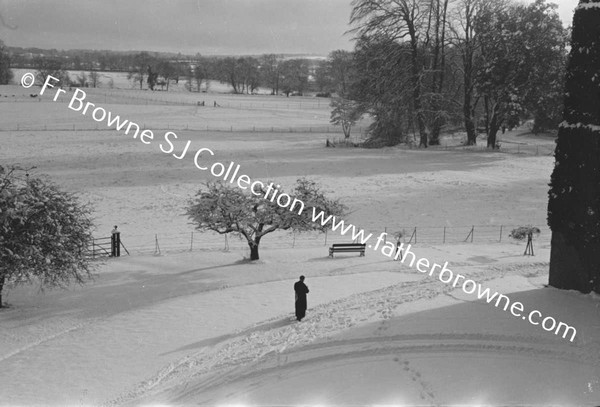 RATHFARNHAM CASTLE GROUNDS IN THE SNOW